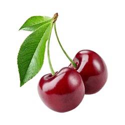 آلبالو گیلاسی